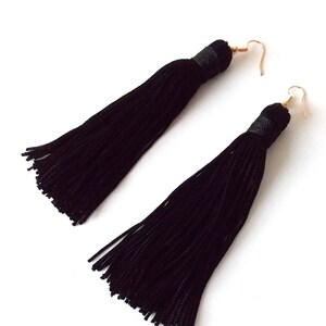 May include: A pair of long black tassel earrings with gold hooks.