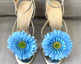 Clips de aciano azul Gerbera Flower Show Clips
