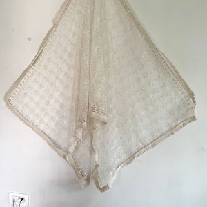 Dyeable net ivory dupatta with thread embroidery.