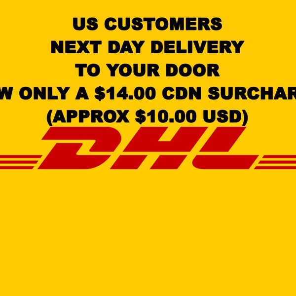 DHL EXPRESS Surcharge | US Next Day Delivery