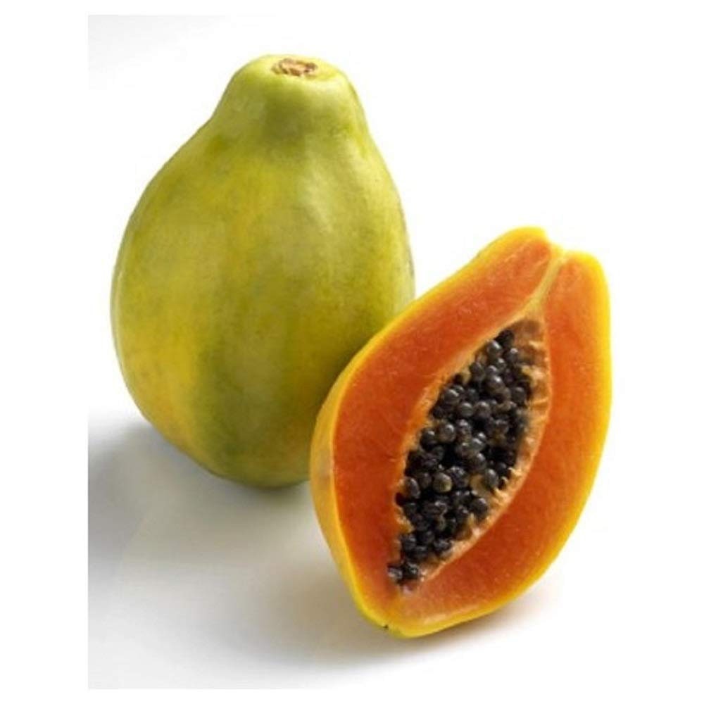 Fruit Papaya Solo Sunrise Improved 15 NonGMO Open Pollinated Etsy