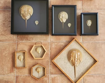 Special Order Adjustment