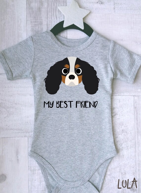 cavalier king charles spaniel clothes