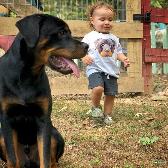 cute baby rottweiler