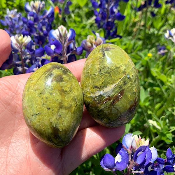 Green Opal Palm Stone. 2”+