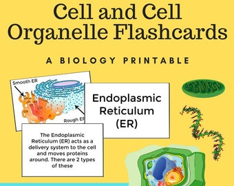 Cell Flashcards and Organelle Study Printables with Bonus Memory Games