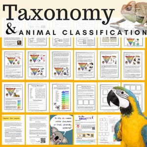 Taxonomía y clasificación de animales y tres dominios de la vida, libro imprimible con actividades, juegos y plan de lección