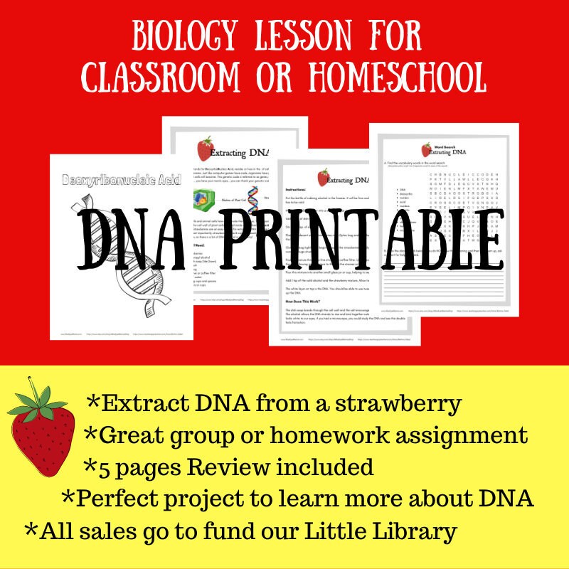Homeschool Printables Extracting Strawberry Dna Science Etsy