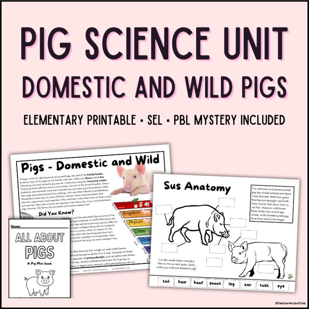 Pig Science Unit | Domestic and Wild Pig Study | PBL Mystery Activity ...