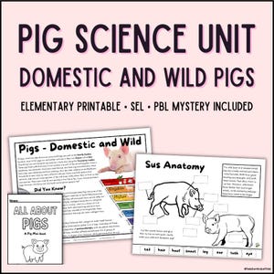 Unidad de Ciencias del Cerdo / Estudio del Cerdo Doméstico y Salvaje / Actividad Misteriosa de Aprendizaje Basado en Problemas (ABP) / Biología Elemental
