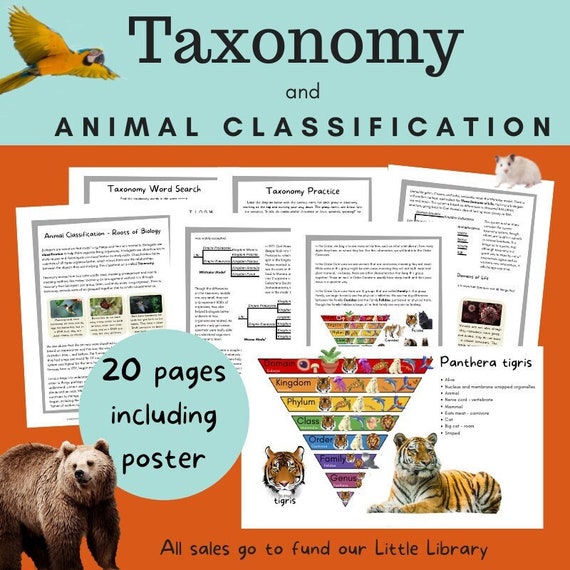 Taxonomy and Animal Classification Printable on Three Domains - Etsy Taxonomy and Animal Classification Printable on Three Domains - Etsy