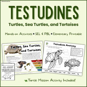 Schildkröten-Einheitsstudie | Lebenszyklus, Lebensraum, Anpassungen | Biologie-Mini-Lehrplan mit PBL, SEL, Aktivitäten, Basteln (Digitaler Download)