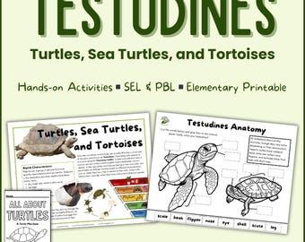 Unidad didáctica sobre tortugas / Ciclo de vida, hábitat, adaptaciones / Minicurrículo de biología con aprendizaje basado en problemas (ABP), aprendizaje socioemocional (ASE), actividades y manualidades (Descarga digital)