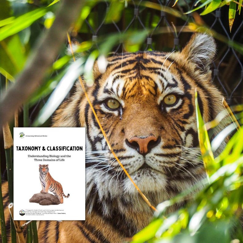 Taxonomy Animal Classification Unit | Three Domains of Life Biology ...