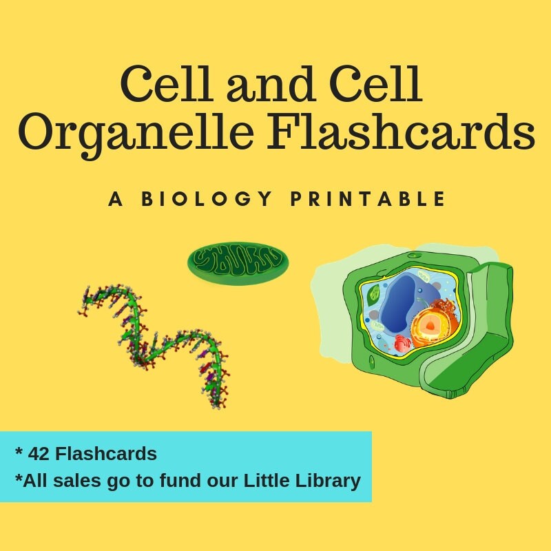 Cell Flashcards Science Printable Instant Download Bonus Etsy España