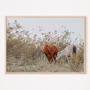 Wild Horses | Wild Mustangs | Salt River Horses | Arizona Wild Horses | Boho Print