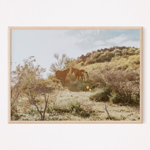 Wild Horses || Wild Mustangs || Salt River Horses || Arizona Wild Horses || Boho Print