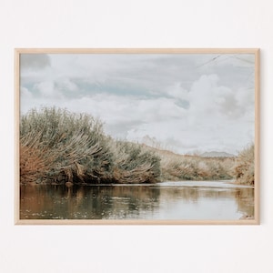 Arizona Desert Print | Boho Desert Photo | Landscape Photography | Salt River Print