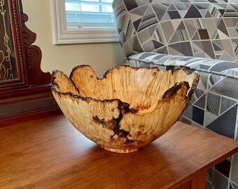 Box Elder Burl Bowl - exquisite large (9" x 5") Box elder burl live edge bowl