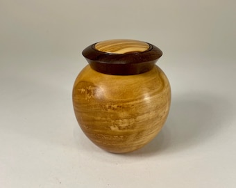 Olive wood box - Walnut on Olive Wood container