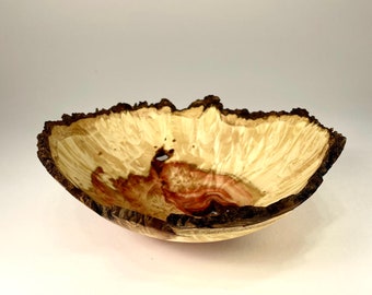 Box Elder Burl Vase - exquisite small (7.5"diam. x 3") Box elder burl live edge vase