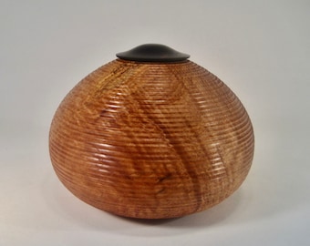 Large Maple Urn - large (164 cubic inches) wood cremation urn in Big Leaf Maple Wood with screw top Ebony cover
