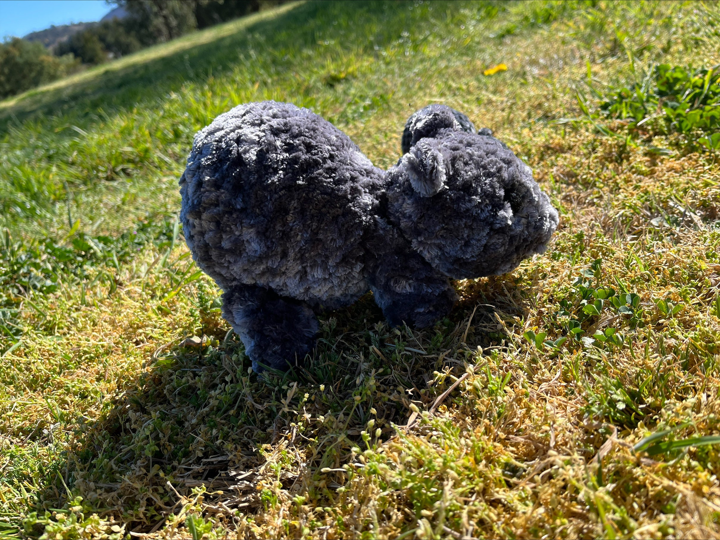 Wombat Mini Amigurumi Crochet Beginner Friendly PDF Pattern - Etsy