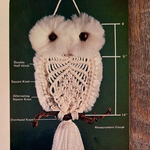VINTAGE 70s Macrame Owl Pattern DIY Wall Hanging or Nursery Decor - Instant Download PDF 1970s Owl named Sophia - 2 Files Directions & Knots