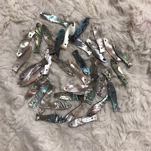 10 Lot All Natural Abalone Shell Mother of Pearl for Fishing Lures Fishing  Spoons Freshwater Saltwater Fishing - Etsy
