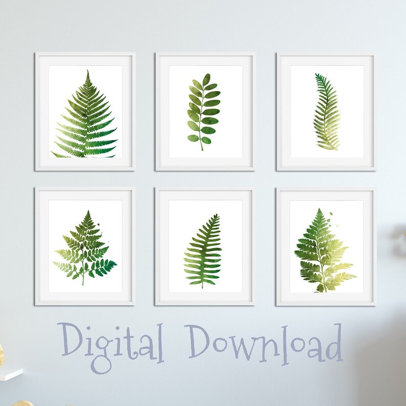 Green Fern Wall Art Printable Fern Set 6 Fern Prints Etsy