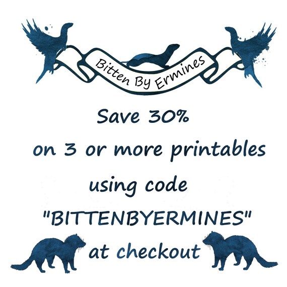 Oiseaux Oiseau Kiwi Art De Couleur De Leau Leau Imprimé En Couleur Oiseaux Art Doiseau Oiseau Imprimable Oiseaux Kiwi Kiwi Amant Doiseau