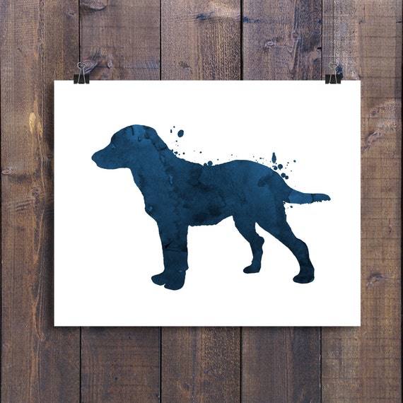 Chesapeake Bay Retriever Color Chart