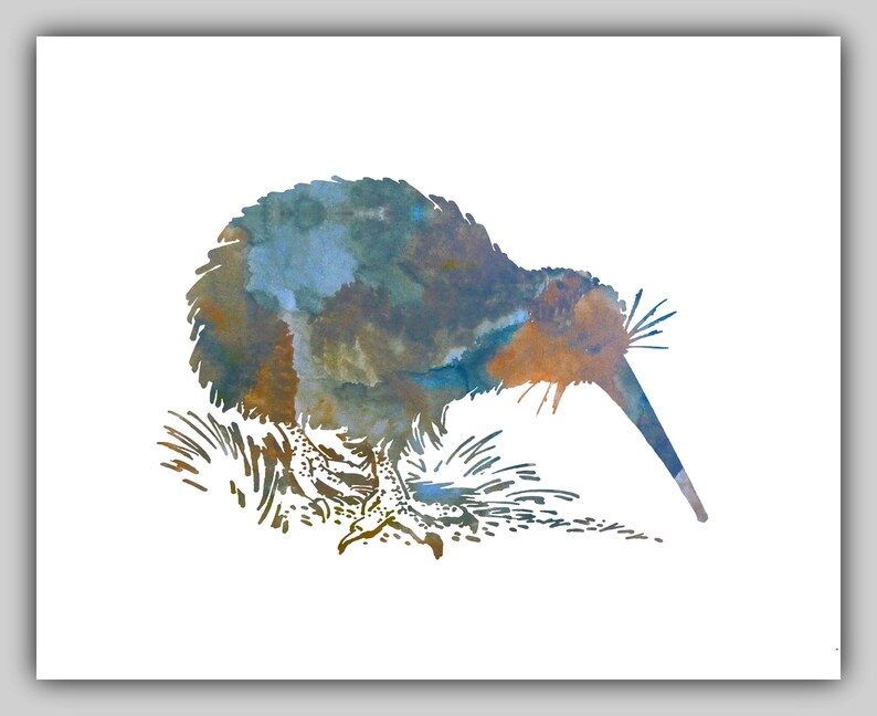 Printable Kiwi Bird Wall Art Downloadable Art Kiwi Bird Etsy Denmark