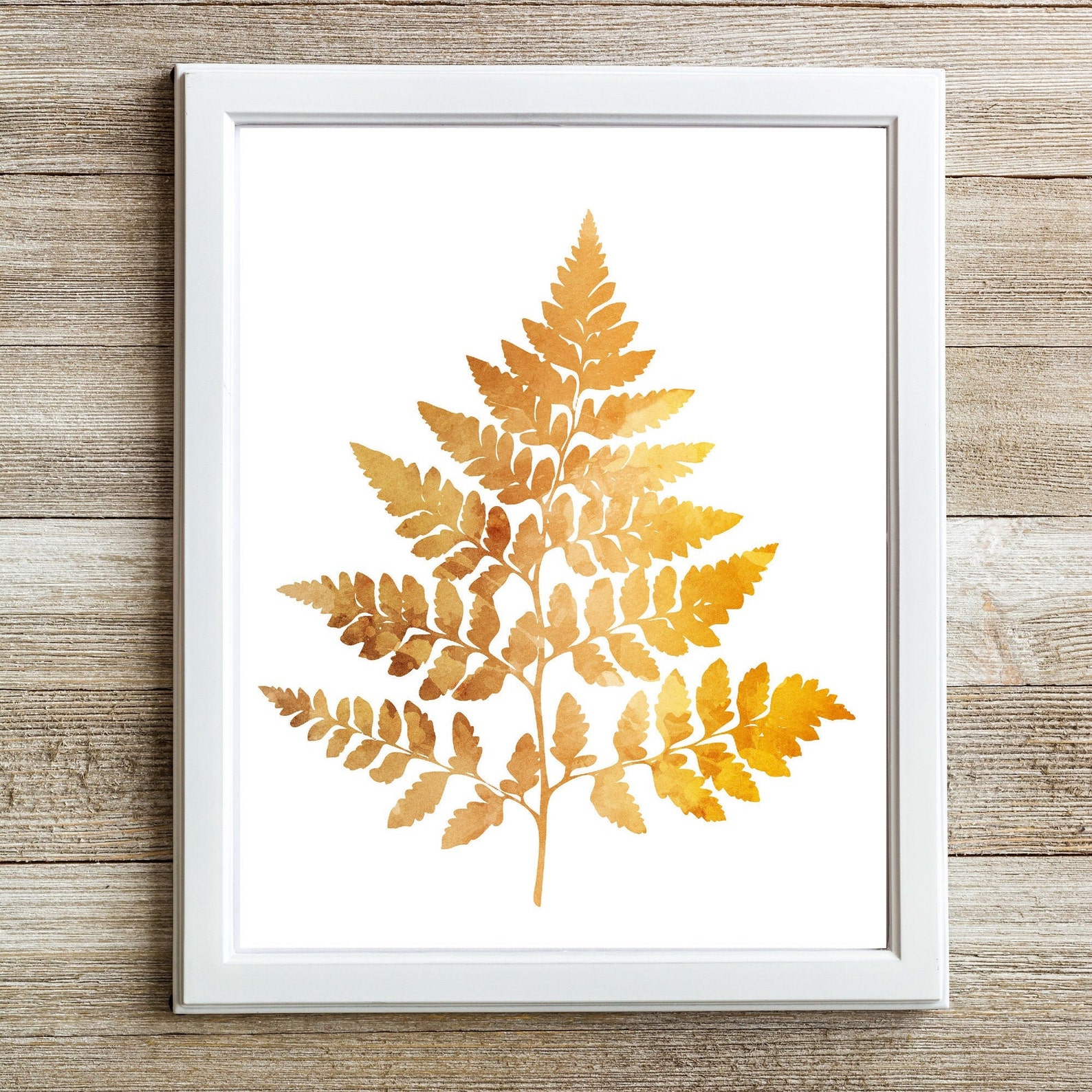 Printable Fern Wall Art Set 4 Pieces 11x14 Digital Etsy