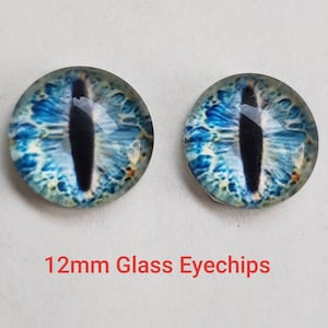 May include: Two 12mm glass eye chips with a blue and white iris and a black pupil. The eye chips are round and have a glossy finish.