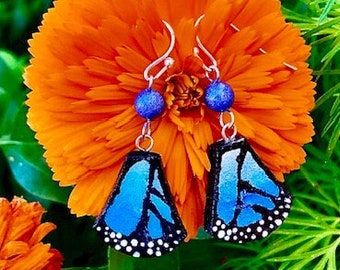 Butterfly Earrings, Dangle Butterfly Earrings, Blue Butterfly Wing Earring, Save the Butterflies, Animal Diversity, Blue Morpho, Monarch