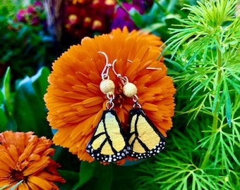 May include: A pair of dangle earrings featuring butterfly wing motifs in yellow, black, and white, suspended from silver-toned hooks with small, textured, light-colored spherical beads positioned above the wing-shaped pendants.