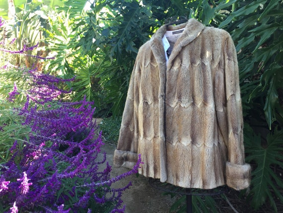 Musquash coat 2025