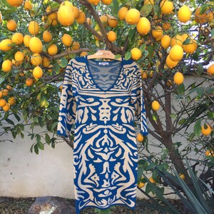 May include: A blue and beige patterned dress with a V-neckline hanging on a hanger in front of a lemon tree. The dress has a geometric design.