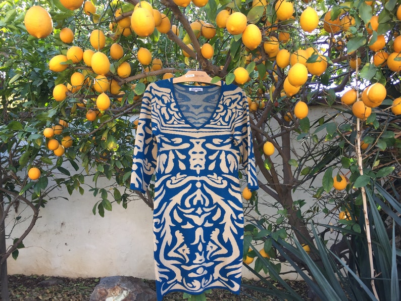 May include: A blue and beige patterned dress with a V-neckline hanging on a hanger in front of a lemon tree. The dress has a geometric design.