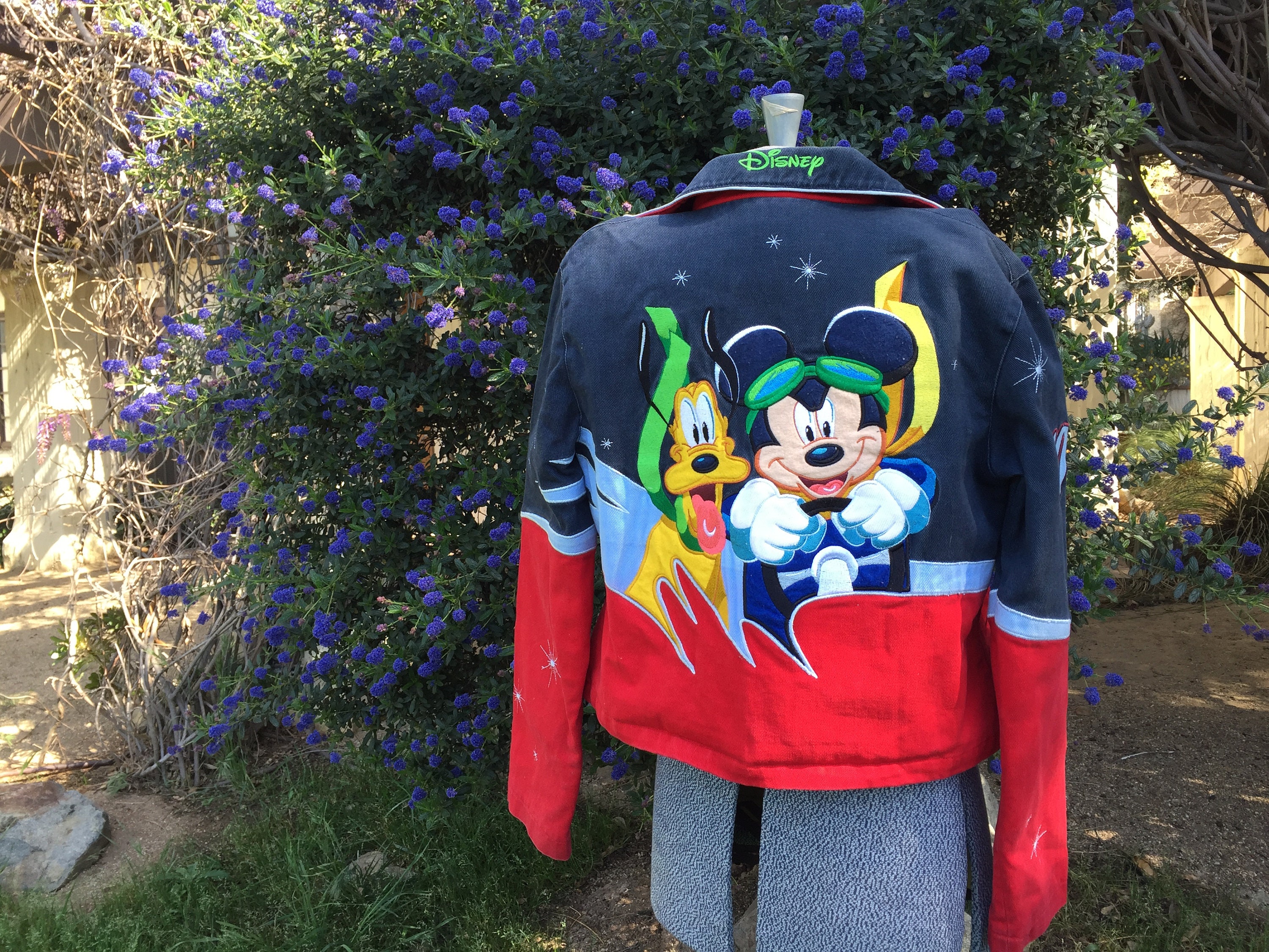 Disney jh design ティンカーベル レーシング デイトナジャケット