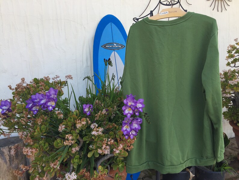 May include: A green long-sleeved sweatshirt hanging on a hanger in front of a white wall. A blue surfboard and a potted plant with purple flowers are in the background.