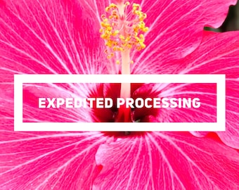 Beschleunigte Verarbeitung