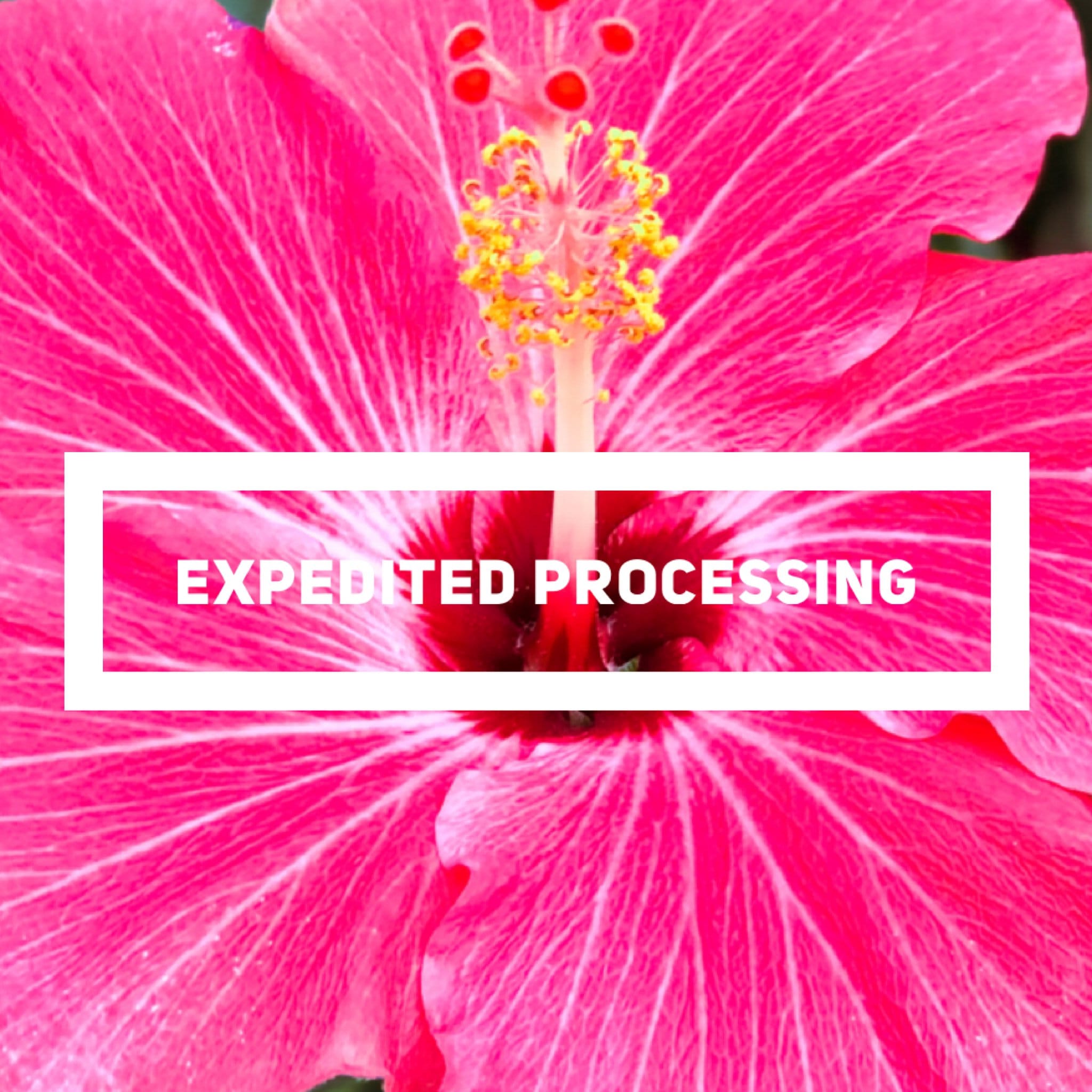 Expedited Processing Etsy