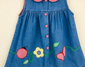 ladybug dress 4t