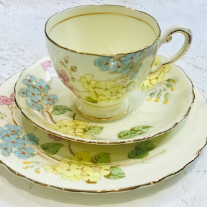 Vintage Tuscan China Teacup Set: Pink & Blue Floral Mid-Century Tea