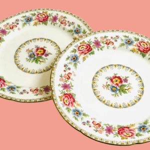 May include: Two white ceramic plates with floral designs. The plates feature a central floral bouquet and a border of pink, red, blue, and yellow flowers. The rims have a gold trim, and the background is a light pink.