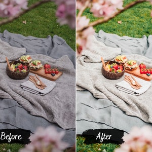 Puede incluir: Una manta de picnic con un taz&oacute;n de fruta, dos s&aacute;ndwiches y una tabla de cortar de madera con m&aacute;s fruta. La manta es gris y tiene una textura de waffle. La fruta es roja y verde. Los s&aacute;ndwiches est&aacute;n en una tabla de cortar de madera. La escena est&aacute; ambientada en un &aacute;rea cubierta de hierba con flores rosas.