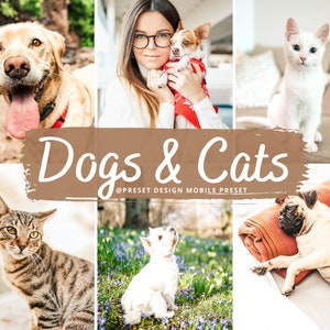 12 Dogs & Cats Lightroom Mobile Preset, Pet Photo Editing Filter for Instagram, Animal Preset For Bloggers Influencer, Pet Lovers Preset