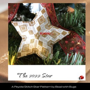 May include: A beaded star ornament with white and gold geometric patterns, hanging on a Christmas tree with a red ribbon. The text "BEADING" is visible on the star. The text "The 2022 Star" is at the bottom.